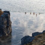 Reykjavik: Golden Circle, Fridheimar, & Sky Lagoon Day Trip - Starting the Tour with Convenient Reykjavik Pickup