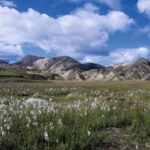 Reykjavik: Highlands & South Coast Super Jeep Tour - The Black Sand Beach of Reynisfjara and Its Dramatic Sea Stacks
