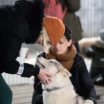 Reykjavík: Husky Kennel Visit with Hot Drinks - Scenic Location 25 Minutes from Reykjavík