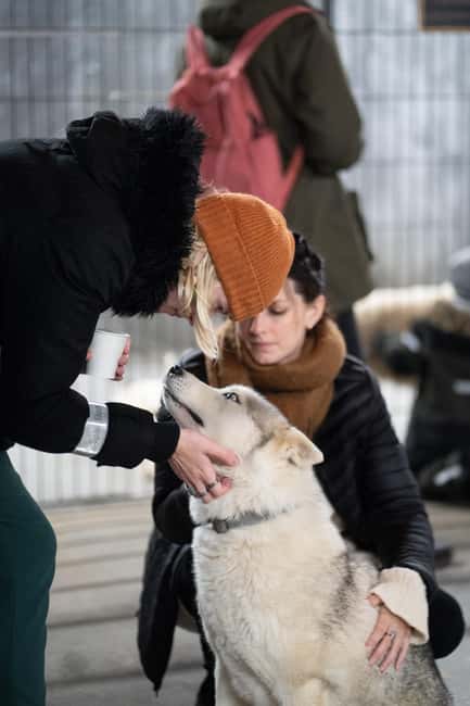 Reykjavík: Husky Kennel Visit with Hot Drinks - Scenic Location 25 Minutes from Reykjavík