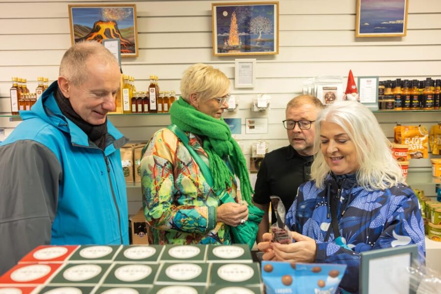 Reykjavik: Private Vegetarian Food Walking Tour - Discovering Reykjavik’s Colorful Streets and Architecture