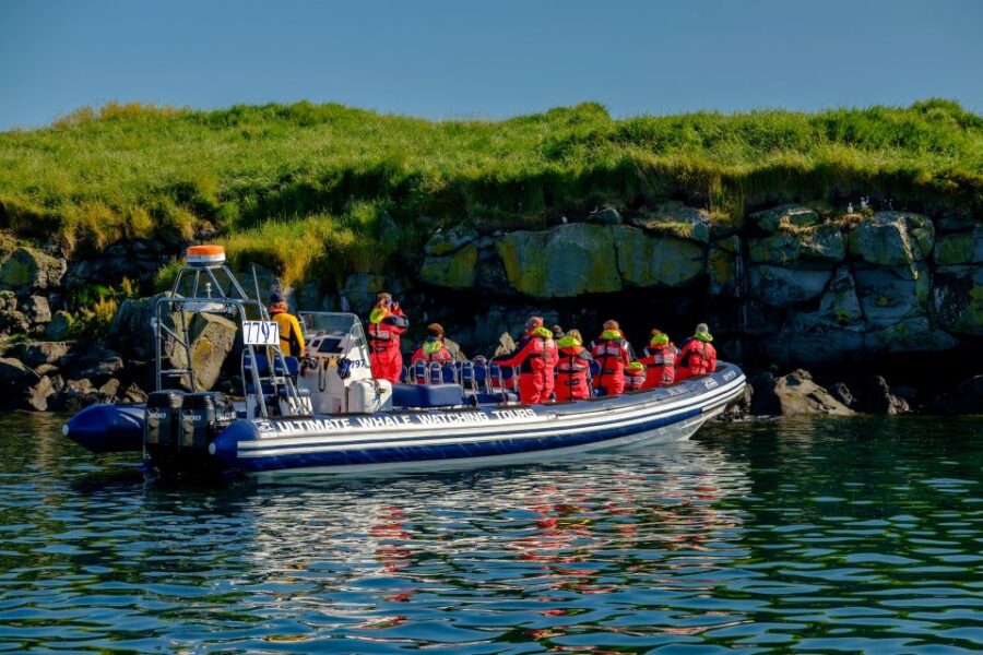 Reykjavik: Puffin Watching Tour - The Thrill of the RIB Boat Ride