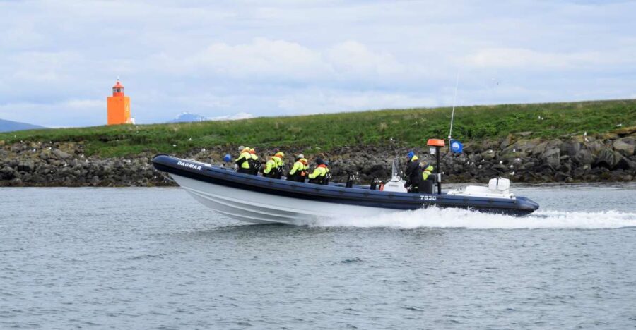 Reykjavik: Puffin Watching Tour by RIB Speedboat - Starting Point at the Old Harbour in Reykjavik