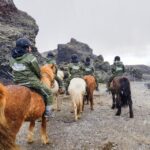 Reykjavik: Red Lava Horse Riding Tour - Meeting Points and Logistics in Reykjavik