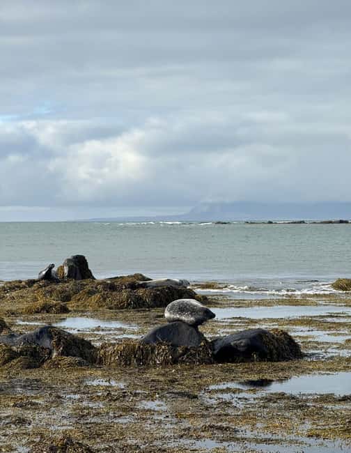 Reykjavik: Snæfellsnes Peninsula Day Tour Chinese Speaking - Visit the Black Church of Búðir: A Photogenic Landmark