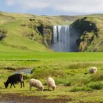 Reykjavik: South Coast Tour with Chinese Guide - Experiencing Skógafoss and Its Rainbows