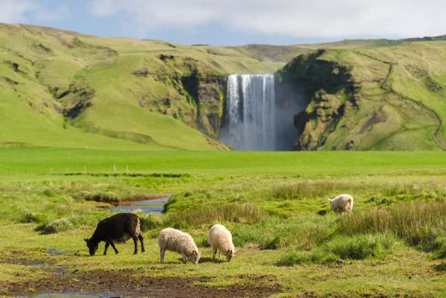 Reykjavik: South Coast Tour with Chinese Guide - Experiencing Skógafoss and Its Rainbows