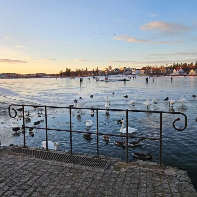 Reykjavik: Street Food Walking Tour - The Meeting Point Inside the Old Harbor House Restaurant