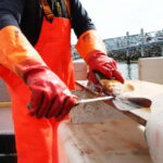 Reykjavik: Traditional Sea Fishing with BBQ Feast - Starting Point at the Old Harbor in Reykjavik