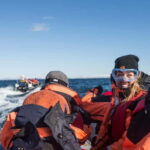 Reykjavik: Whale and Puffin Watching RIB Boat Tour - Starting Point at Reykjavik’s Old Harbour