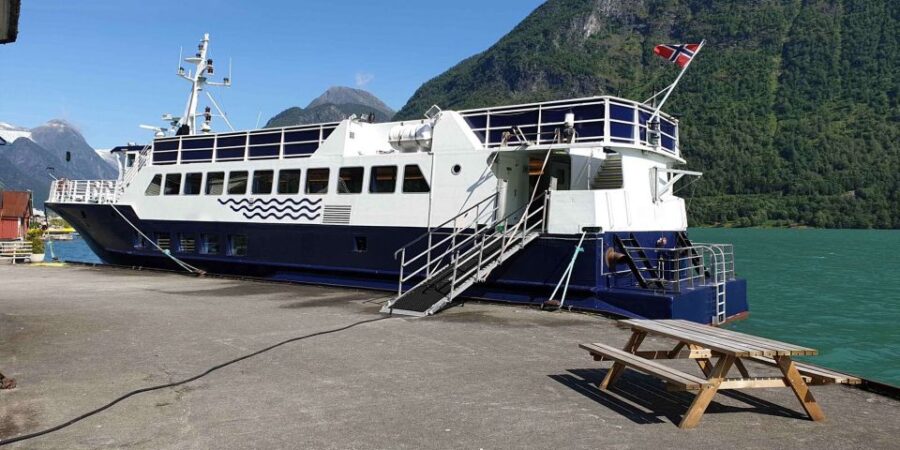 Reykjavik: Whale & Marine Adventure Tour - Starting Point at Reykjavíks Old Harbour