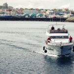 Reykjavik: Whale Watching and Dolphin Watching Yacht Cruise - What Marine Wildlife Can Be Seen