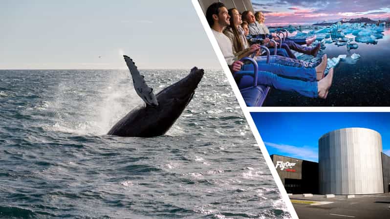 Reykjavík: Whale Watching Cruise and FlyOver Combo Ticket - How the Tour Combines Nature and Technology in Reykjavík