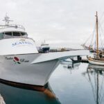 Reykjavík: Whale Watching Cruise on the Amelia Rose Yacht - The Amelia Rose Yacht: Comfortable and Spacious