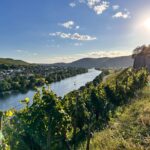 Rhein Castles & Tasting wine along the Rhein - From Frankfurt - Visiting Burg Rheinstein for Castle Views