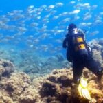 Rhodes: Diving Adventure for Beginners and Experts - Meeting Locations and Transportation in Rhodes