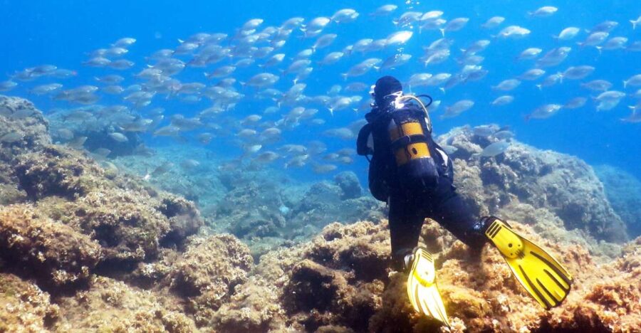 Rhodes: Diving Adventure for Beginners and Experts - Meeting Locations and Transportation in Rhodes