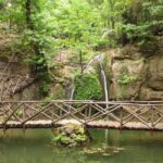 Rhodes: Guided Tour to the Islands Highlights - Exploring Kallithea Springs and Its Thermal Waters