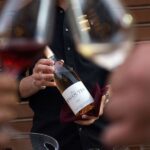 Rhodes: Private Wine Tasting Experience for Beginners - Starting Point and Booking Flexibility in Rhodes