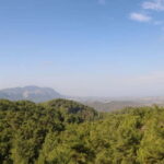 Rhodes: Safari with our driver - North - Pick ups East Coast - What Makes the Rhodes Safari with Drivers Special?