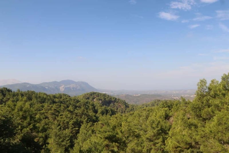 Rhodes: Safari with our driver - North - Pick ups East Coast - What Makes the Rhodes Safari with Drivers Special?