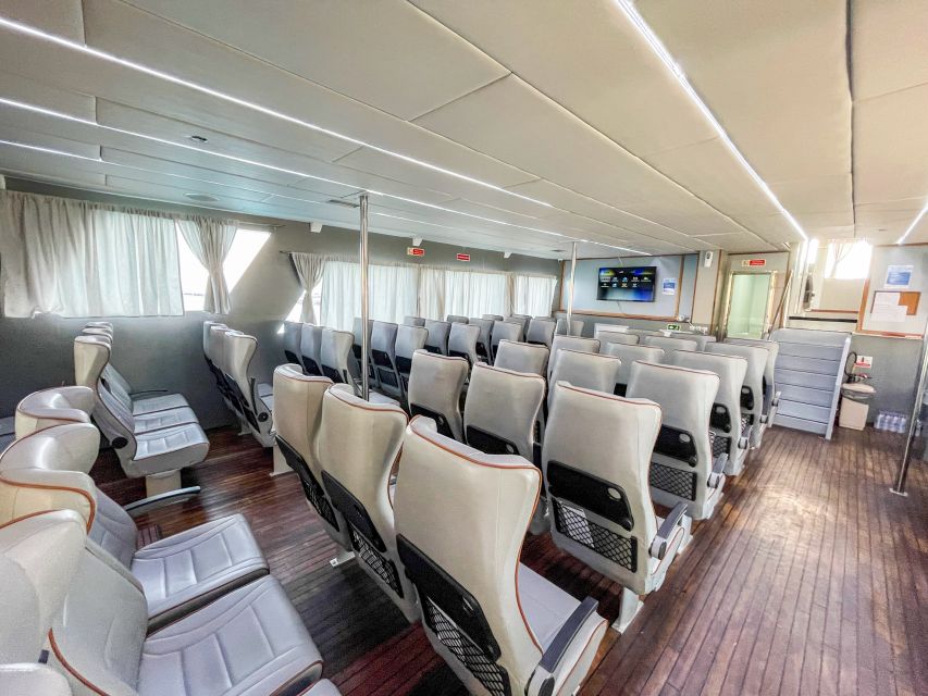 Rhodes: Speedboat Trip to Symi with Free Time to Explore - Sailing into Symi’s Bay and Viewing the Colorful Houses