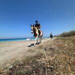 Rhodes: Sunset Horseback Riding Experience by the Sea - The Scenic Routes at NivaRanch