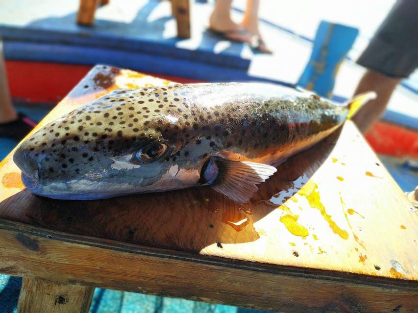 Rhodes Town: Fishing Boat Trip with Fish Meal and Swim Stops - The Traditional Greek Fishing Boat: Design and Comfort