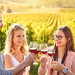 Rhodes: Wine Tasting in Embonas, the Land of Rhodian Wine - Tasting and Food Pairings with Local Delicacies