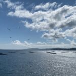 Ría de Arousa: Daytime or Sunset Sailboat Cruise with drinks - Scenic Views of Galicia’s Coastline