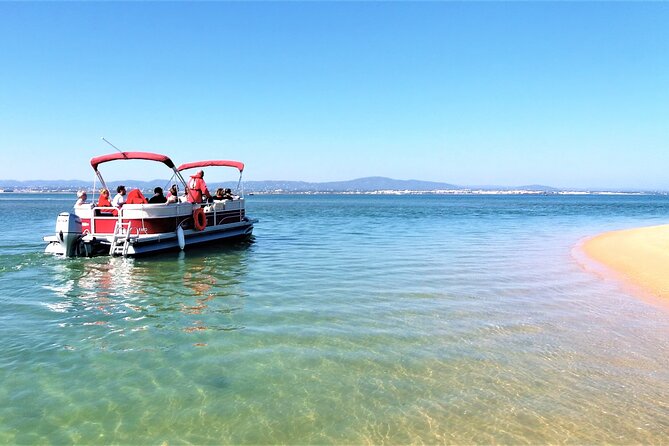 Ria Formosa Natural Park and Islands Boat Cruise from Faro - Navigating the Natural Park and Its Channels