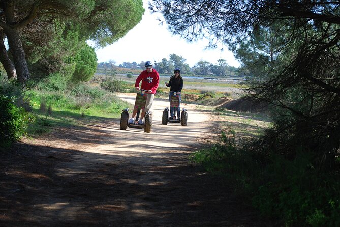 Ria Formosa Natural Park Birdwatching Segway Tour from Faro - Start at the Faro airport parking area for a scenic ride