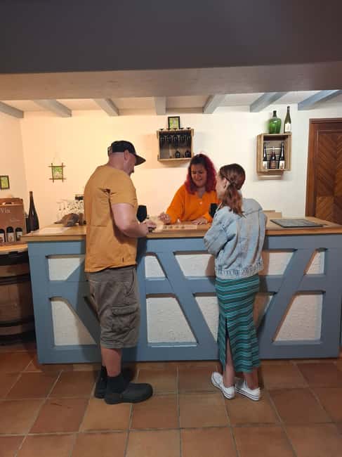 Ribeauvillé: Tasting and discovering natural and traditional wines - Exploring the Vineyards and Respect for Nature