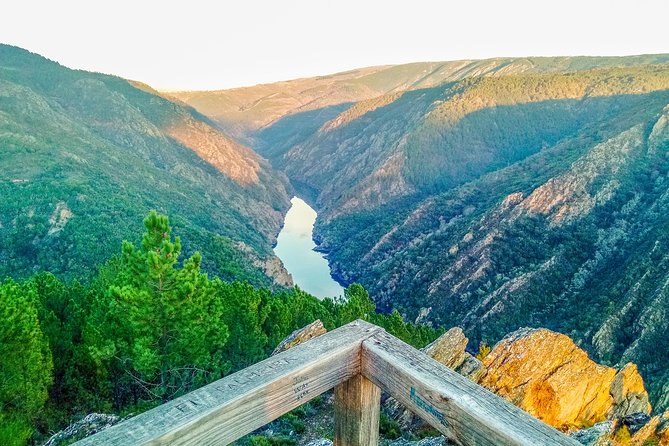 Ribeira Sacra, "Heroic Wines" Private Tour from Santiago - The Guide and Transportation Experience