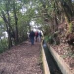 Ribeiro Frio - Portela - Starting at Funchal’s Convenient Pickup Point