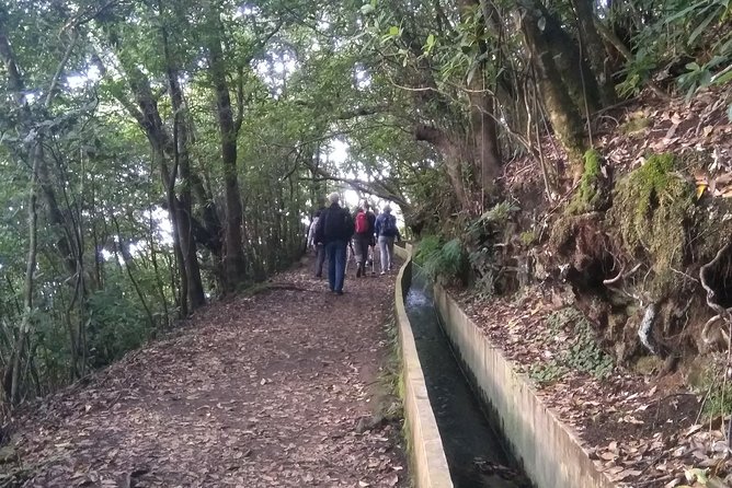 Ribeiro Frio - Portela - Starting at Funchal’s Convenient Pickup Point