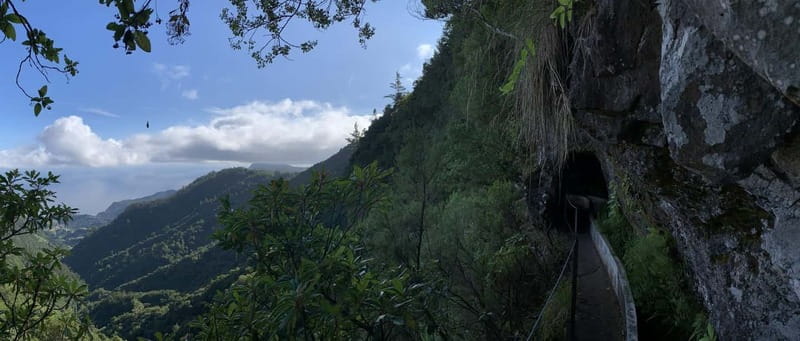 Ribeiro Frio / Portela Full day hike - From Your Hotel to the Hydrating Beauty of Ribeiro Frio