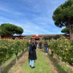 Ribera del Duero Tour From Madrid: 2 Wineries with Transport - Visiting Two Carefully Chosen Wineries