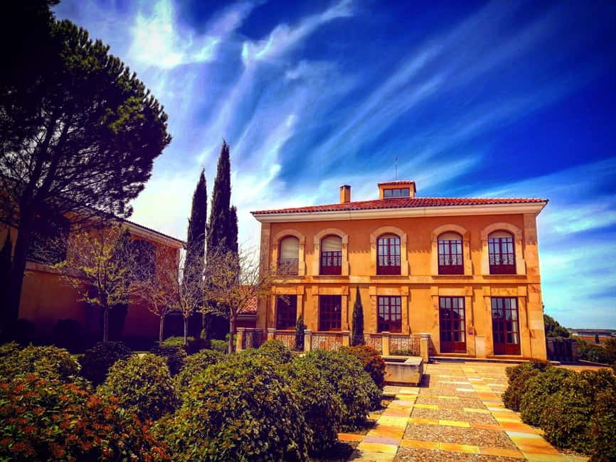 Ribera del Duero Tour: From Madrid to Ribera del Duero - lunch included - Concluding with Aldubon: A Tasting of Three Wines