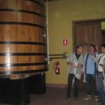 Ribera del Duero Winery Guided Tour and Wine Tasting from Madrid - Visiting the Diverse Wineries of Ribera del Duero
