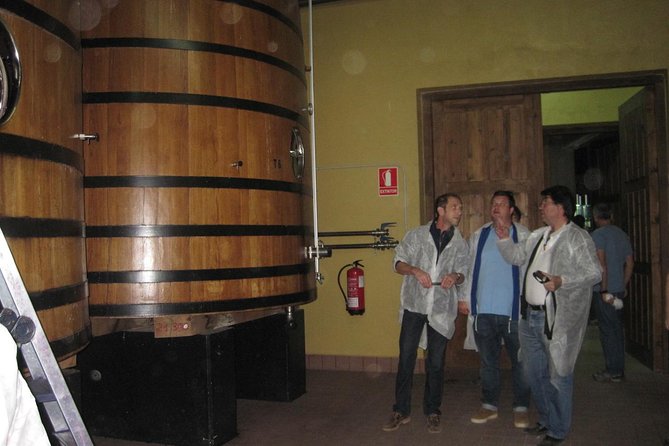 Ribera del Duero Winery Guided Tour and Wine Tasting from Madrid - Visiting the Diverse Wineries of Ribera del Duero