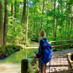 Riga: Best of Kemeri National Park In One Day - Discovering Lake Kanieris and Its Bird Watching Towers