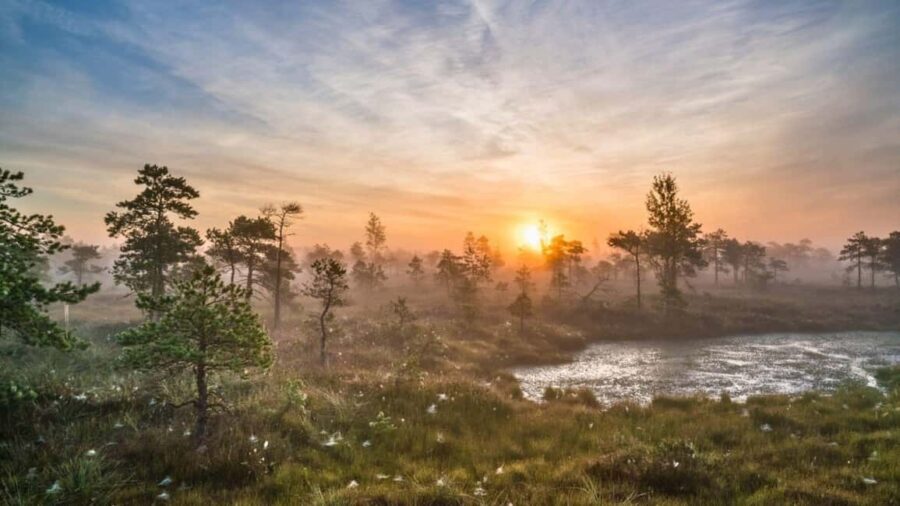 Riga: emeri Sunrise Tour with Breakfast (Group or Private) - Witnessing the Sunrise Over Latvia’s Wetlands