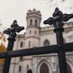 Riga Explorer Bike Tour - Exploring the Great Cemetery and Local Hangouts