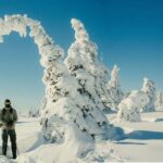 Riisitunturi & Frozen Waterfall Full Day Tour with Photos - Exploring Riisitunturi National Park: Snowy Forests and Hilltops