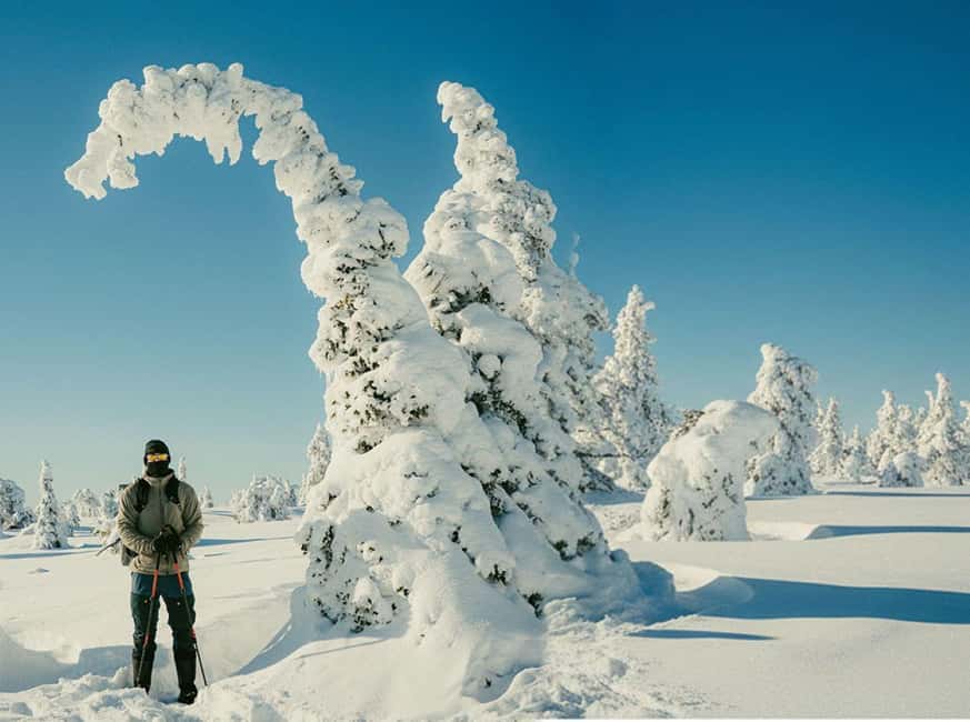 Riisitunturi & Frozen Waterfall Full Day Tour with Photos - Exploring Riisitunturi National Park: Snowy Forests and Hilltops