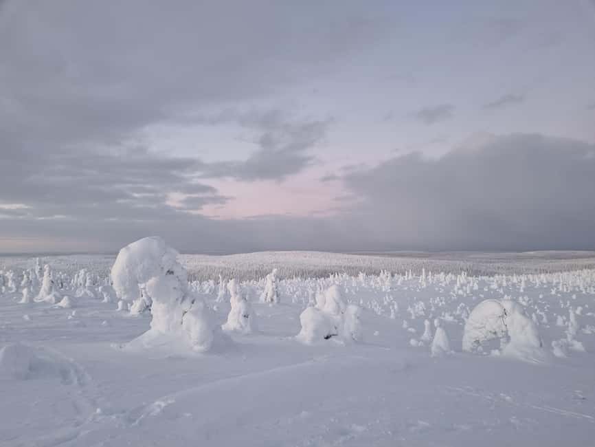 Riisitunturi National Park Guided Hike - Discover the Scenic Trails and Panoramic Views