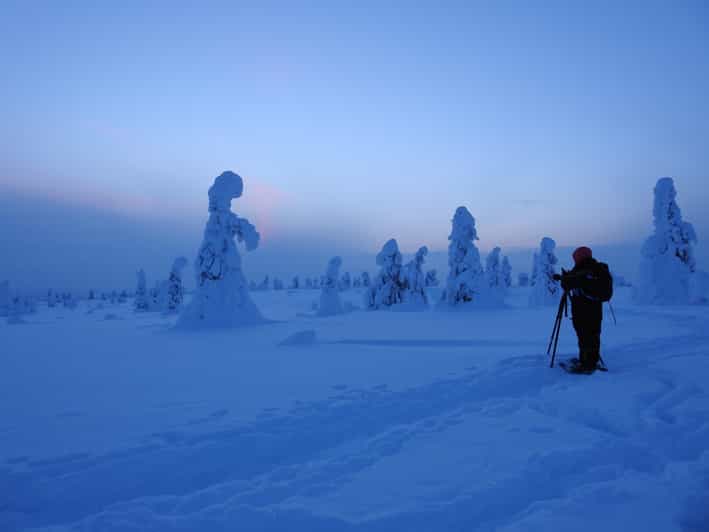 Riisitunturi National Park Private Snowshoe Adventure - Exploring Riisitunturis Snow-Laden Forests and Tykky Trees