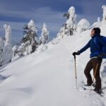 Riisitunturi National Park Snowshoe Experience - The Unique Snowy Forest of Riisitunturi National Park
