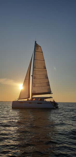 Rimini: A day on the Adriatic coast from Rimini to San Bartolo Park - Starting Point and Departure Times from Rimini’s Marina